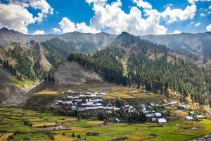 Kashmir & Gurez Valley Tour